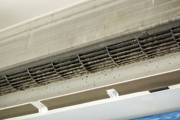 Best Professional Duct Cleaning Services  in Bethesda, MD